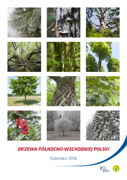 http://www.drzewa.pryzmat.org.pl/pobrania/kalendarz2016.pdf